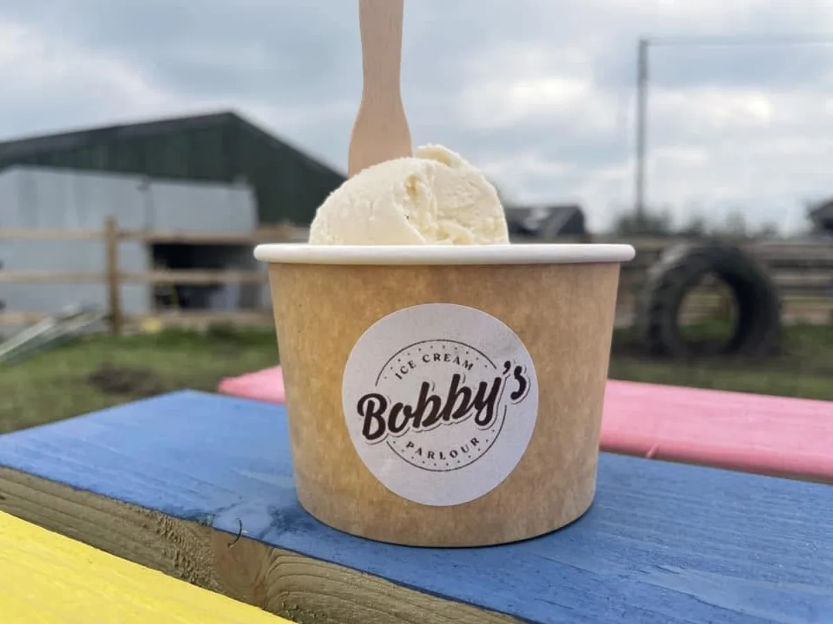 A tub of Bobby's vanilla ice cream on a colourful painted picnic bench